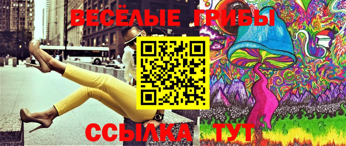 Галлюциногенные грибы прущие грибы Ртищево