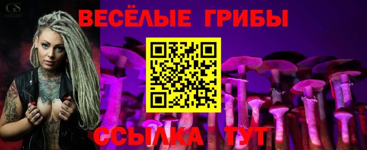 Псилоцибиновые грибы мухоморы  Вход с VPN  Псилоцибиновые грибы мицелий  Ртищево 